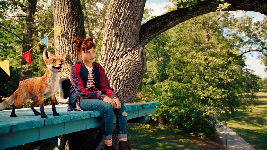 Filmstill Die Schule der magischen Tiere