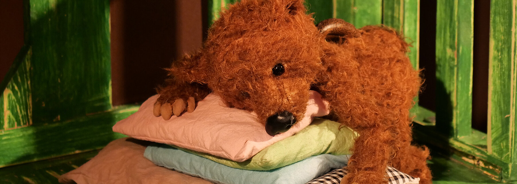 Ein Plüschbär und verschiedene Kissen vor grünem Hintergrund