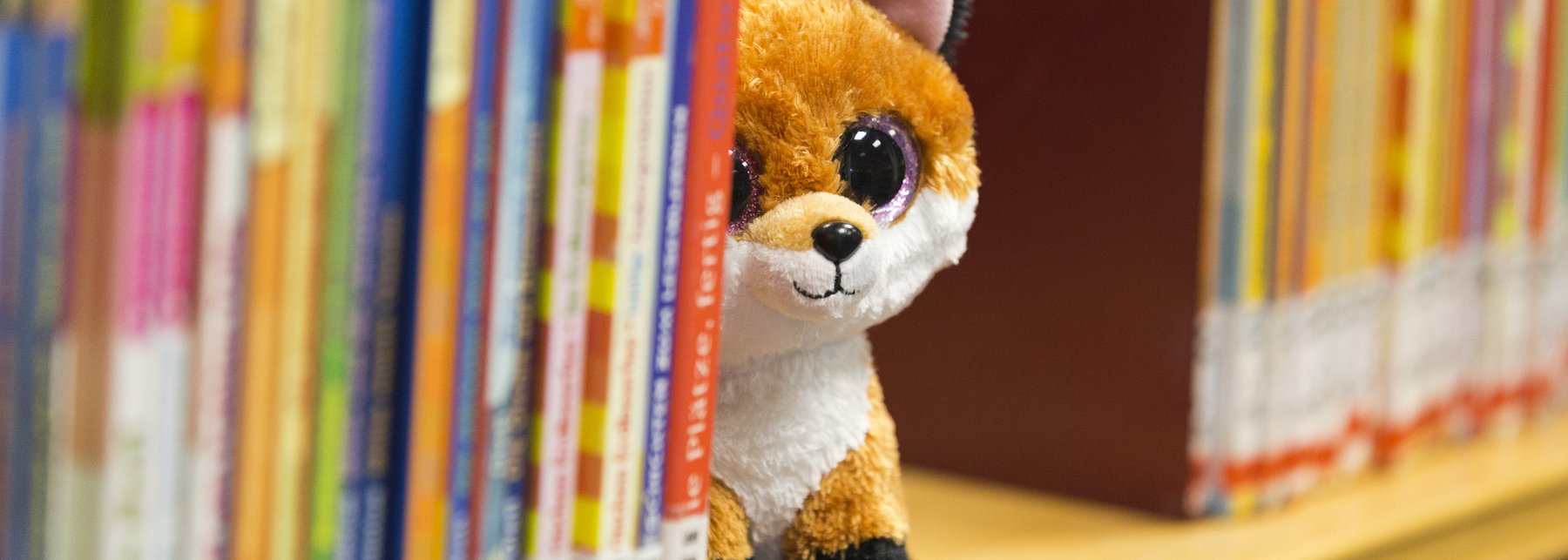 Fuchs Plüschtier sitzt im Bücherregal