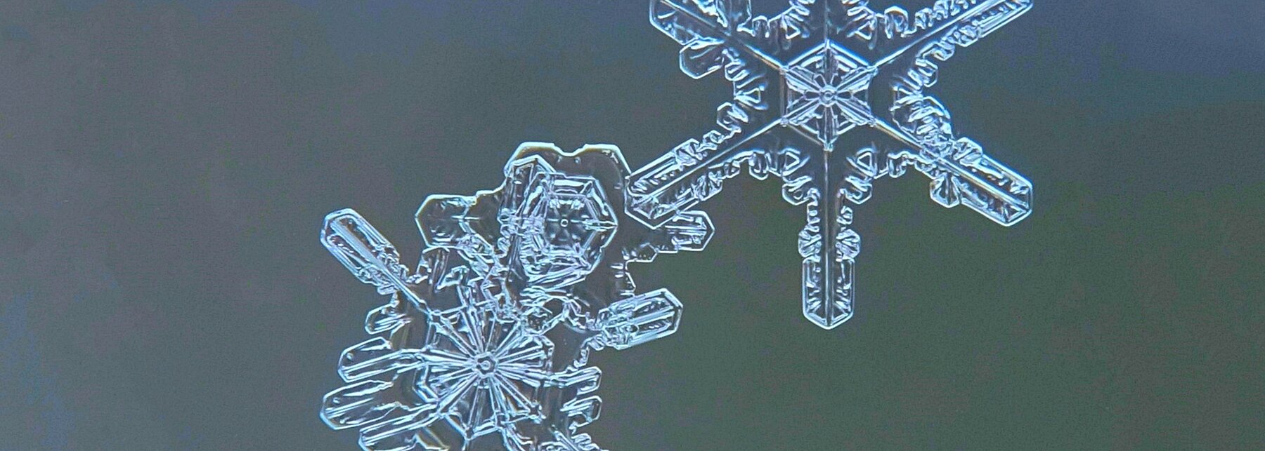 Schneeflocken