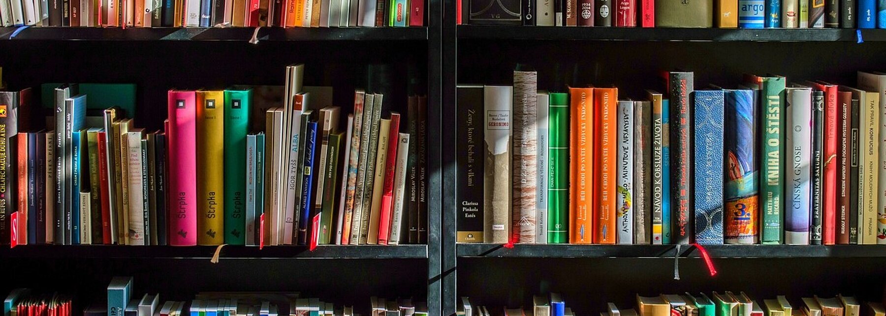 Viele Bücher in einem Regal