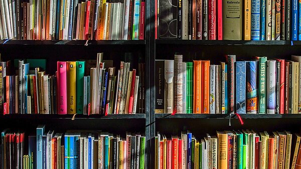 Viele Bücher in einem Regal