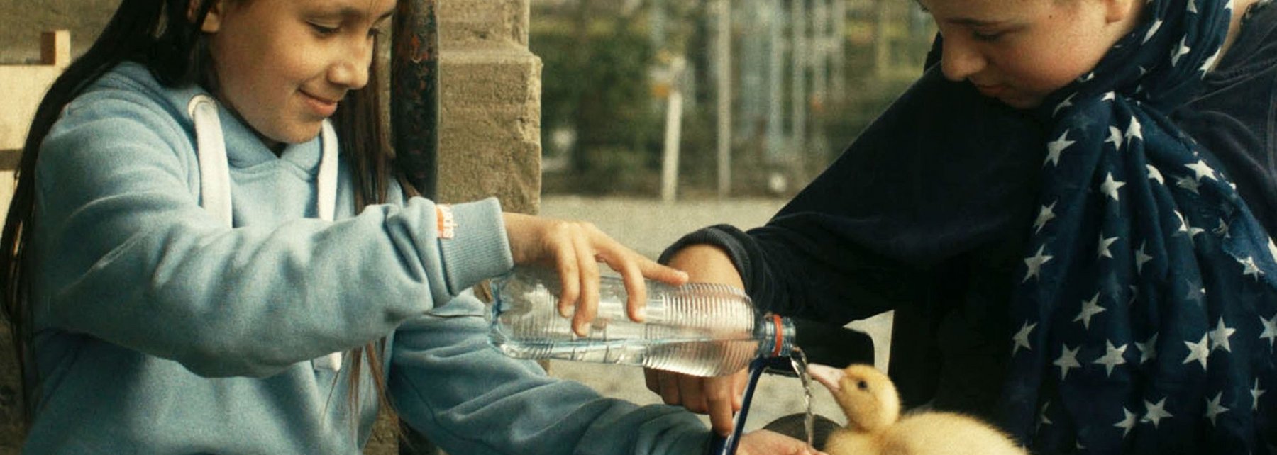 Filmstill Zugvögel – wenn Freundschaft Flügel verleiht