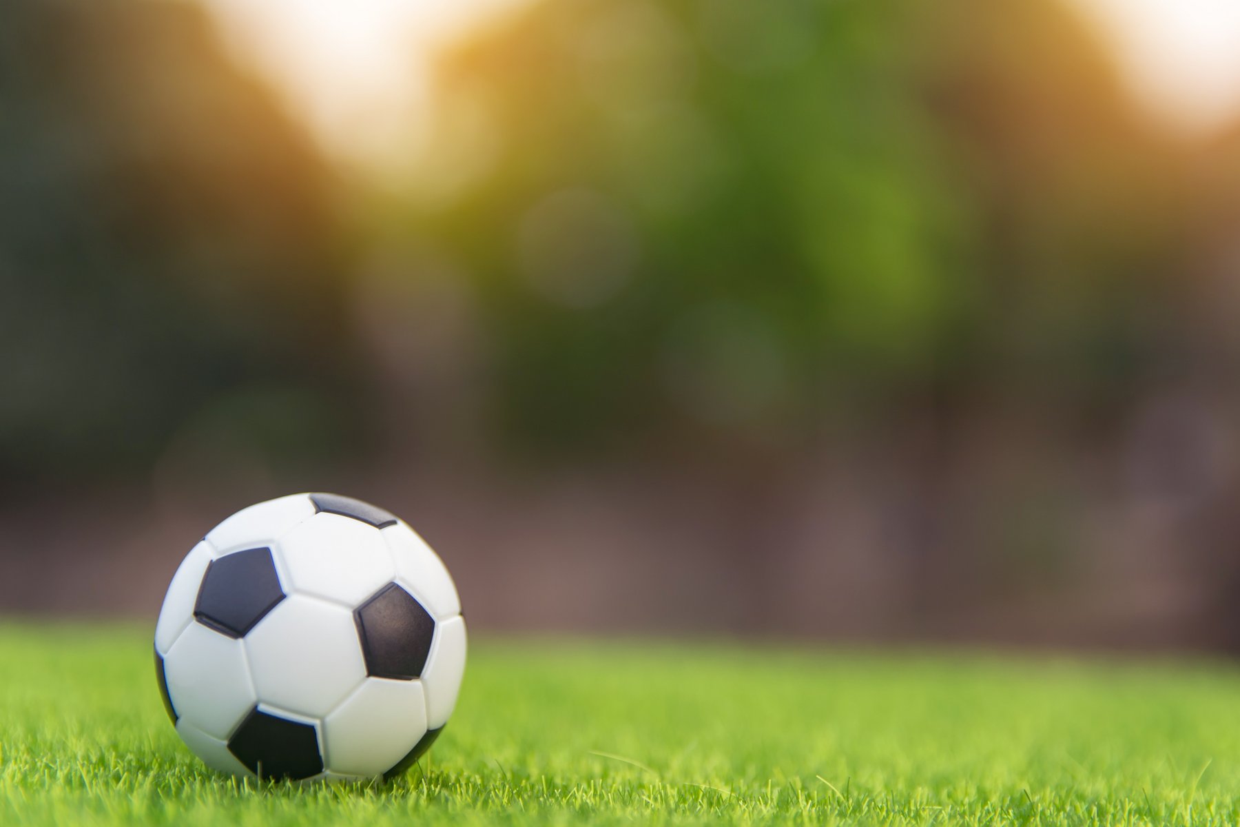 Fußball auf dem Rasen