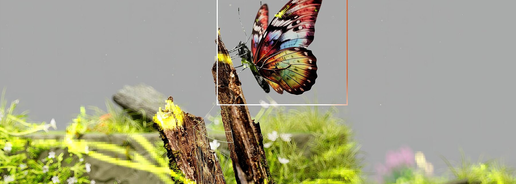 Abstraktes Bild mit einem Schmetterling in einer verpixelten Umgebung.