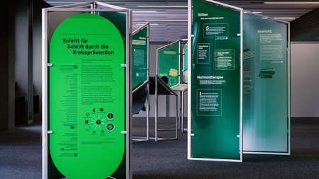 Stelen einer Ausstellung zur Krebsprävention