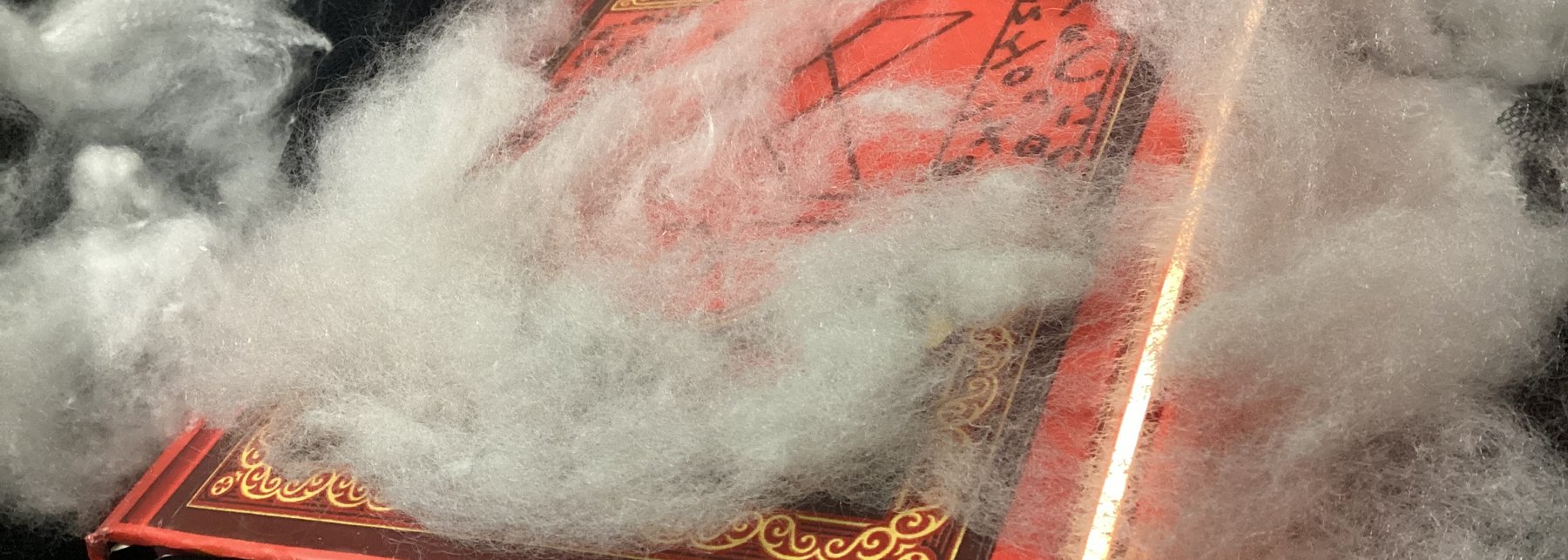 Ein rotes Buch mit gelben Verzierungen, das von Nebelschwaden verhüllt ist